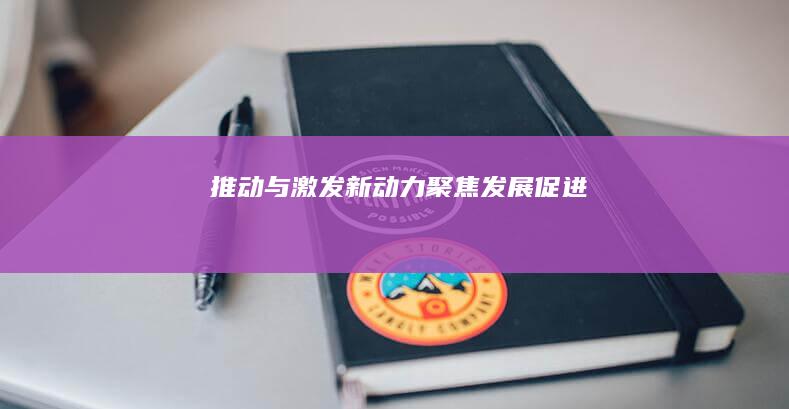 推动与激发新动力：聚焦发展促进